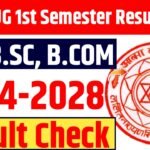 LNMU UG 1st Semester Result 2024-28