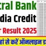 Central Bank Credit Officer Result 2025