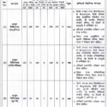 Bihar SHS Ayush Medical Officer Recruitment 2025