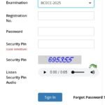 BCECE Admit Card 2025