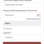 SSC Combined Graduate Level CGL Online Form 2025 for 14582 Post