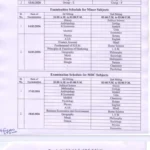 LNMU UG 1st semester Admit Card 2025-29